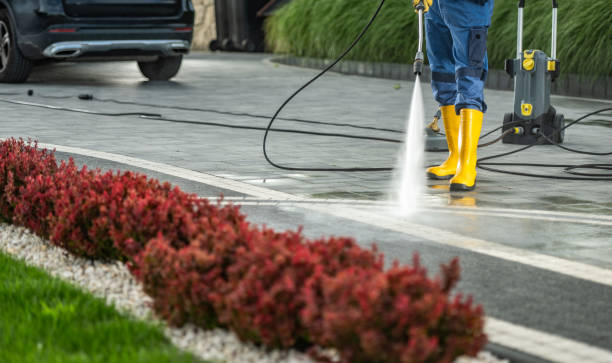 Best Roof Pressure Washing  in Gillette, NJ